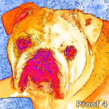 Breed Specific Dog Portrait English Bulldog