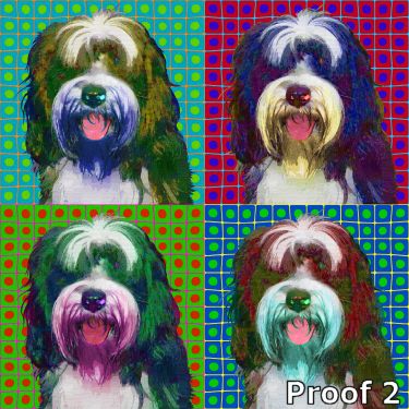 dog portrait for BuBu the Tibetian Terrier