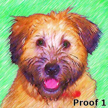 Soft Coated Wheaton Terrier art