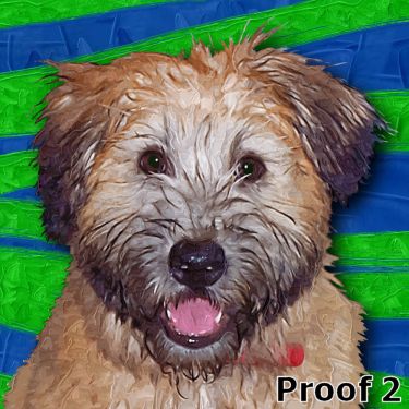Soft Coated Wheaten Terrier art portrait