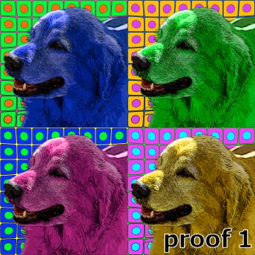 Custom Yellow Lab portraits and art