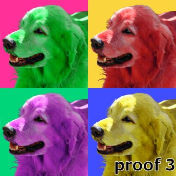Yellow Labrador portraits and gifts