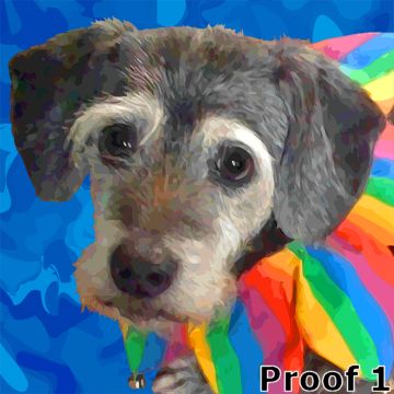 Terrier Portrait and Gift Items