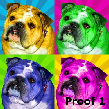Custom English Bulldog art