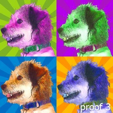 pet pop art portraits and gifts terrier