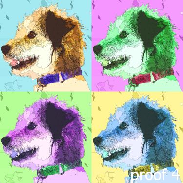 breed specific dog portraits, Terrier mix