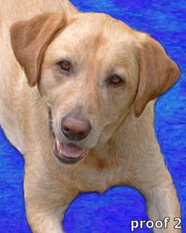dog pop art