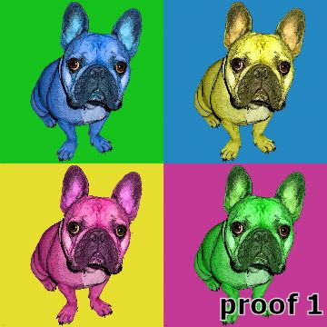 French Bulldog portraits 
