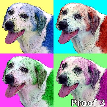 Hound dog portrait
