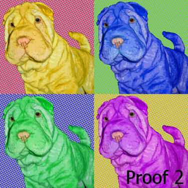 Shar Pei dog art