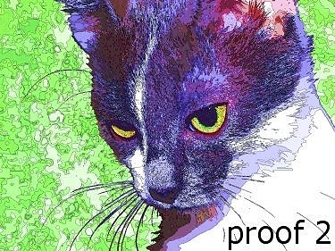 pop art pet portrait cat
