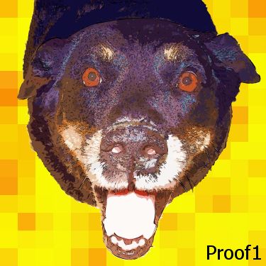 Lab portraits and art