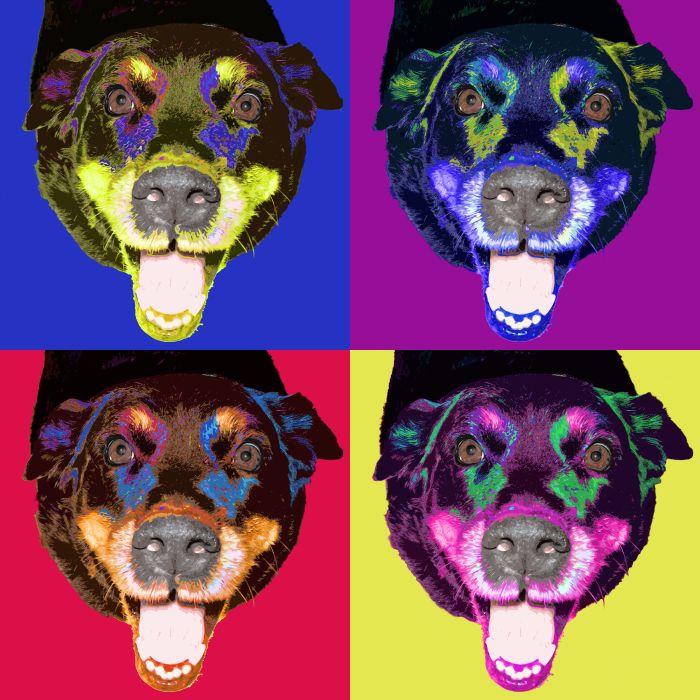 Lab portraits and art