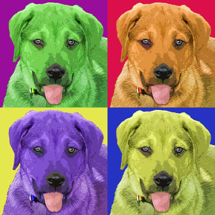 Labrador portraits and gifts
