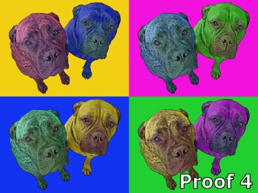 Boxer dog gifts