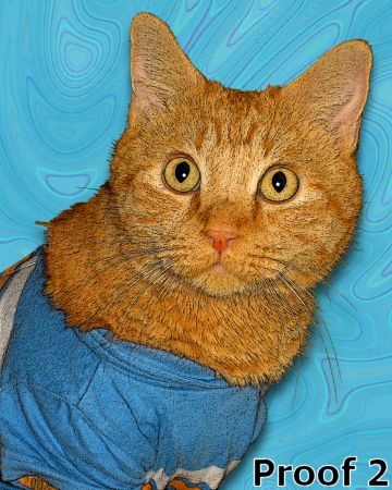 Custom cat art and gifts