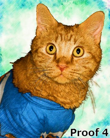 cat art and custom gifts