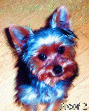 Yorksire Terrier custom dog art