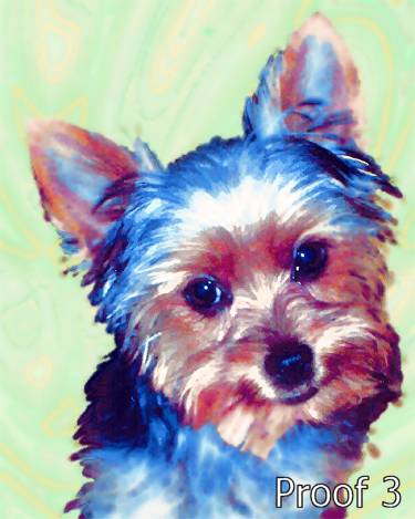 Custom Yorkie Terrier Art form PopArtPet