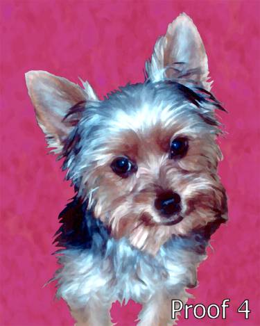 Custom Yorksire Terrier portraits and Gifts