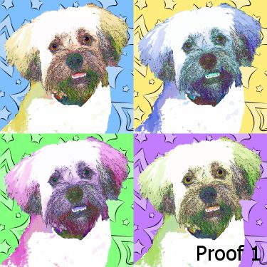 Lhasa Apso Portrait