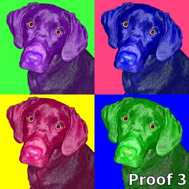 Warhol styled custom lab portraits