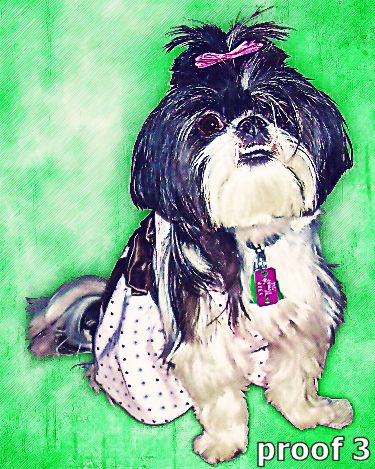 pet portrait shitzu