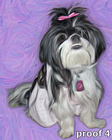  breed specific pet shitzu