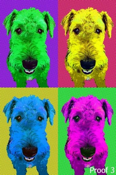 Aireadale breed specific portraits and art