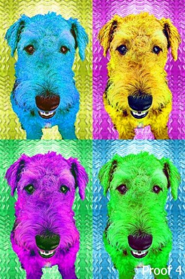 Aireadale  breed specific gifts and portraits