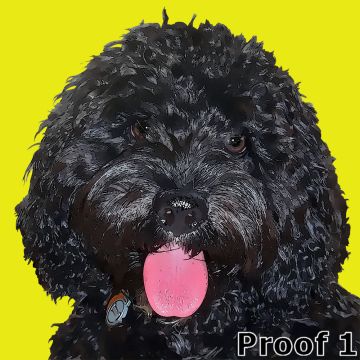 dog pop art