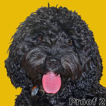 dog art portrait