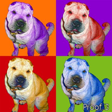 Shar Pei Dog Portrait Art