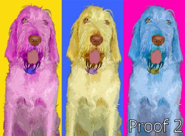 Cortina portraits and gifts