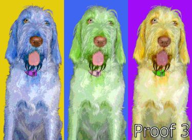 Pop Art Cortina Portrait