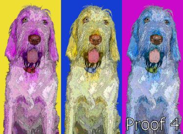 Cortina Pop Art Gifts and Art Portraits