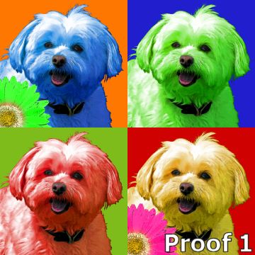 Havanese art portraits 