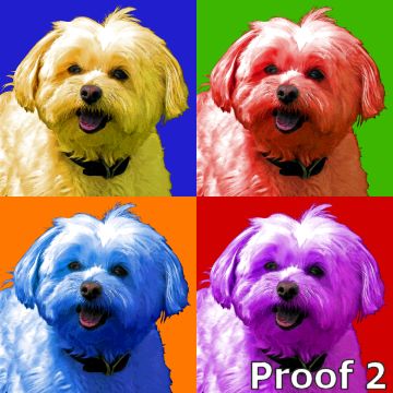 Havanese art 
