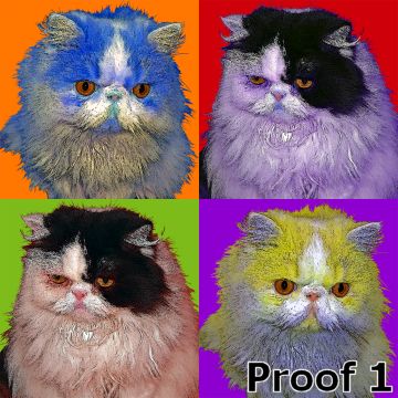 cat custom Warhol Style Portrait