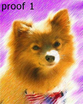 Pomeranian Art Portrait