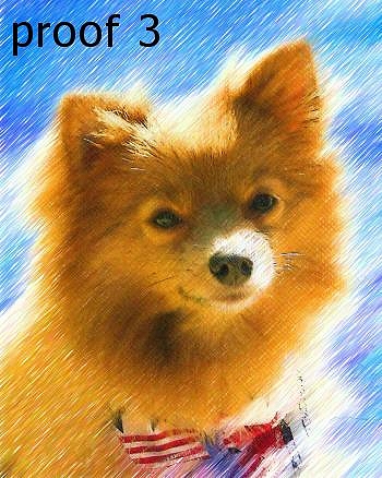 Breed Specific Pomeranian Art Portrait