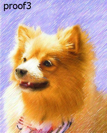 Pomeranian Art Portrait and gift items