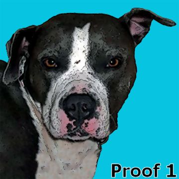 Pit Bull pop art