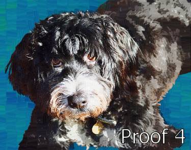  breed specific Tibetian Terrier art and gifts