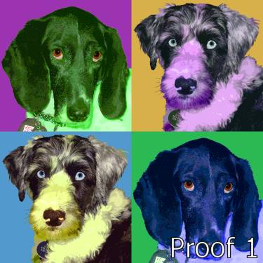 pop art dog portrait