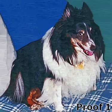 Sheltie art