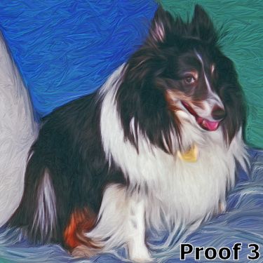 Shetland Sheepdog Custom portrait