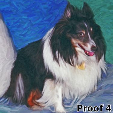Sheltie Gifts and Portraits
