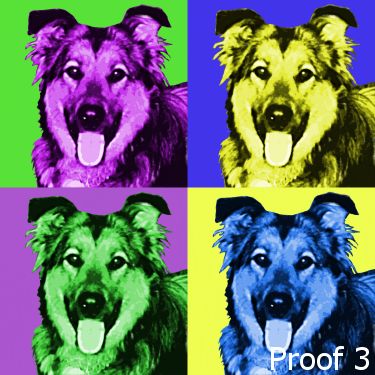 Pop Art Dakota Portrait