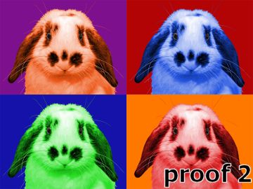 Custom rabbit portrait